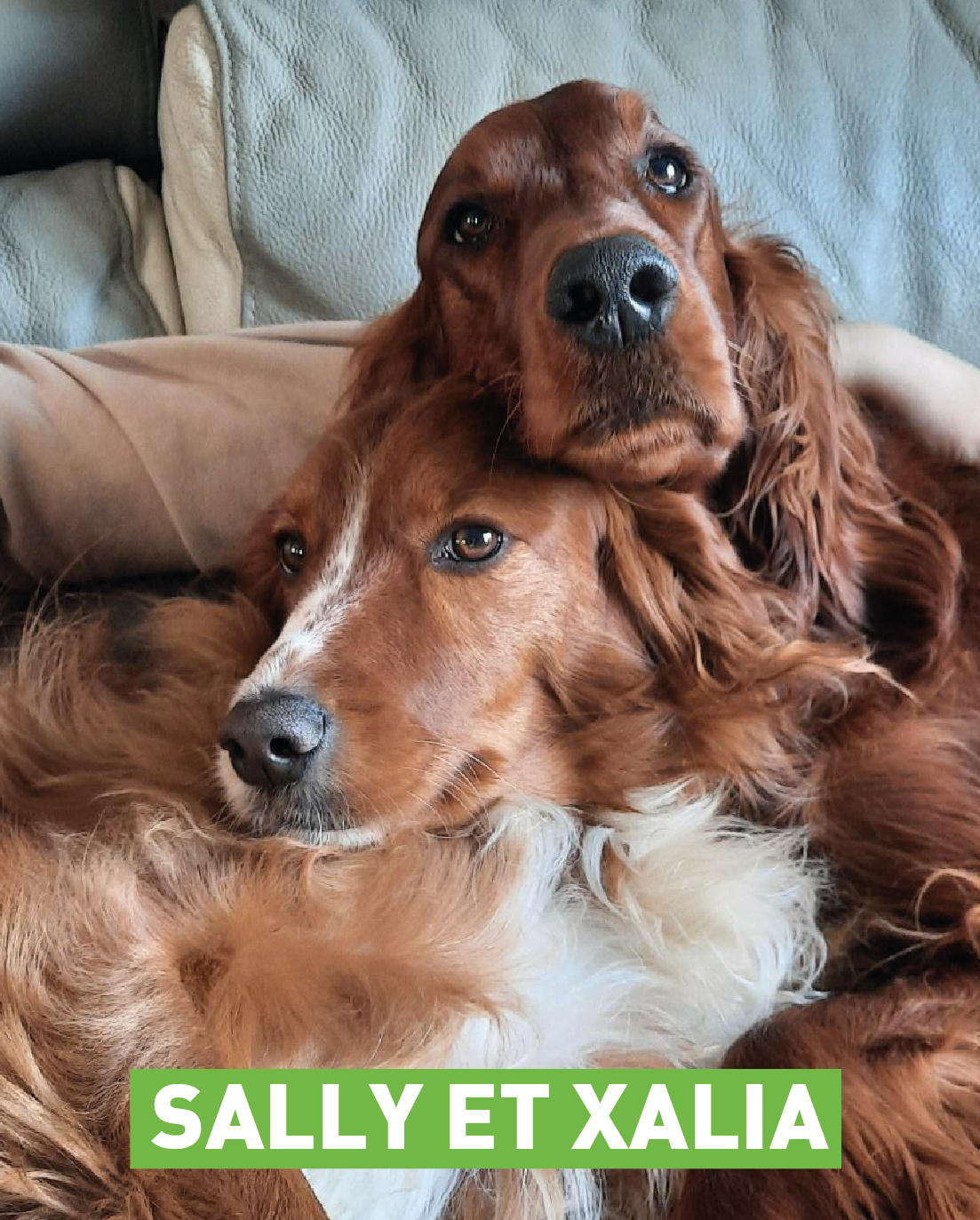 Sally et Xalia