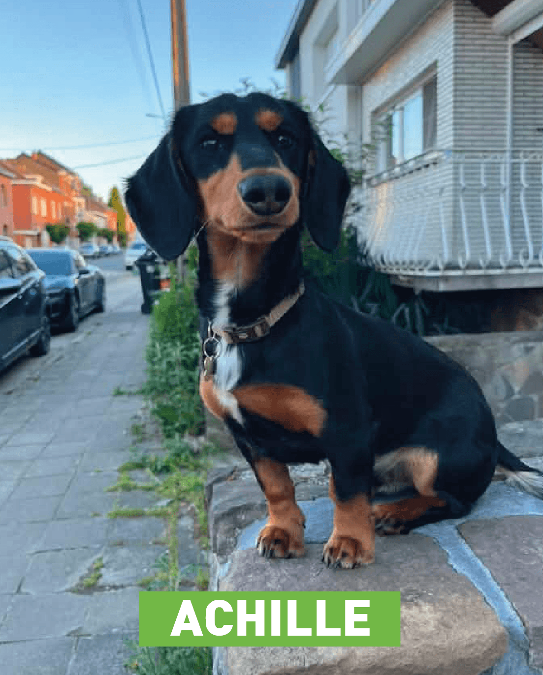 Achille