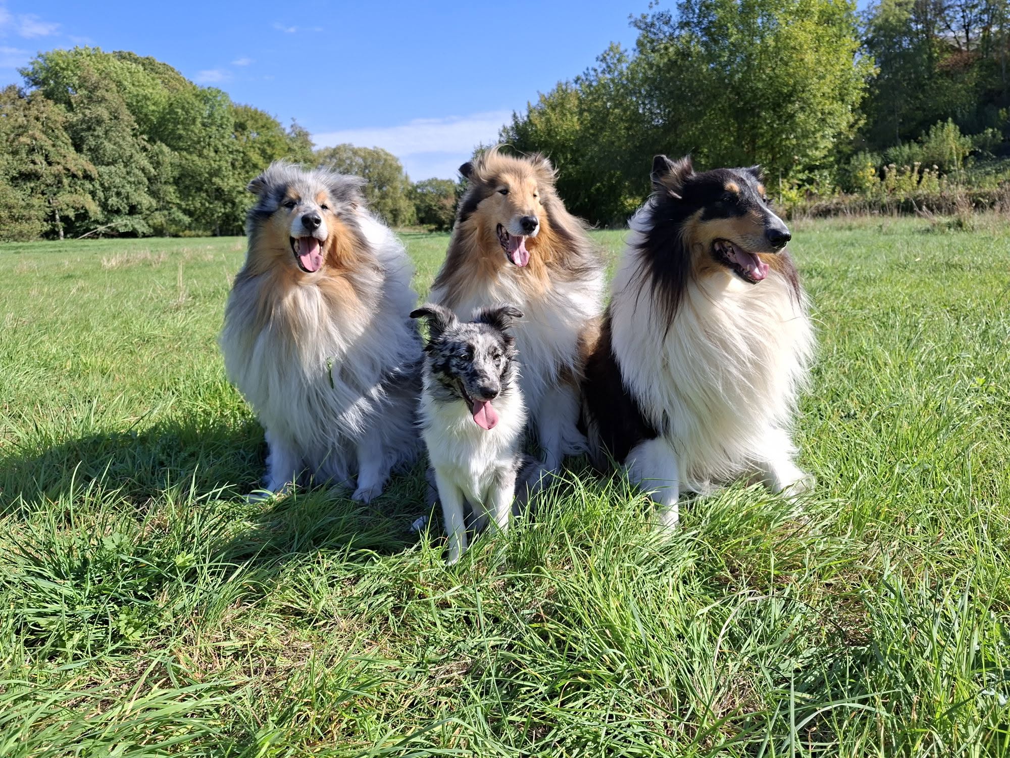 Newton, Gordon, Cooper et Willow