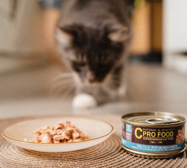 Cprofood-chat-nourriture-humide