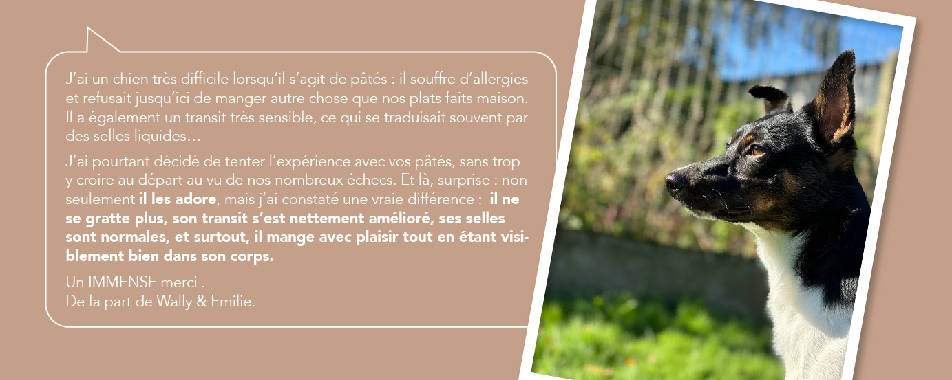Temoignage client CPro Food